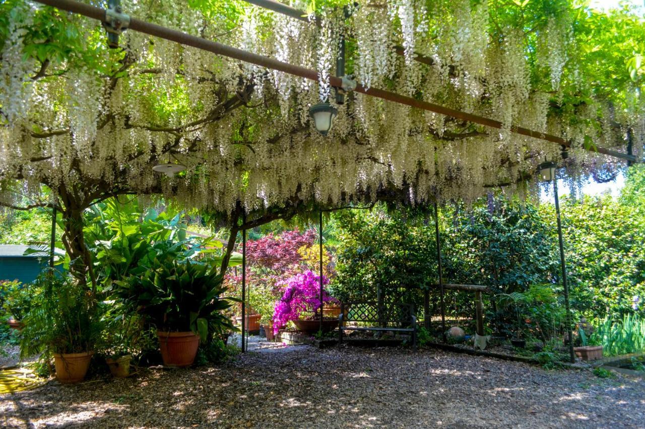 B&B Al Mare Sorrento Exterior photo
